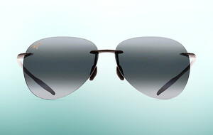 Maui Jim, Oliver Peoples, + Persol