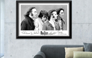 The Hollywood Collection