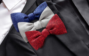 Beau Ties of Vermont