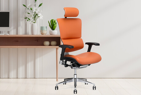 Therapeutic Office Chairs