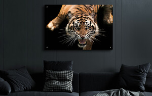 Wildlife Wall Art