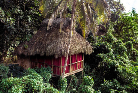 5 Day Jungle Getaway For 2
