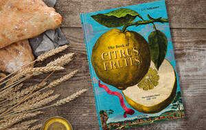 Taschen Coffee Table Books