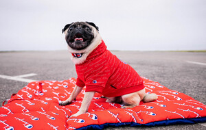 Fresh Pawz & Champion Collab