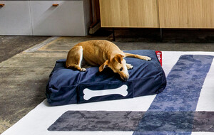 Fatboy Dog Beds