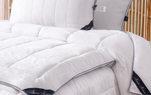 Brooks Brothers Comforters & Pillows