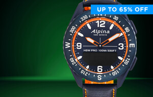 Alpina Alpiner X