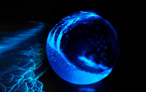 Pyrofarms Bioluminescent Micro-aquariums