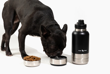 Food & H2O For Pups On The Go