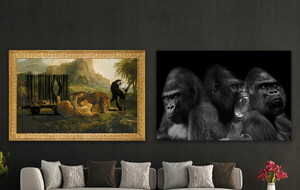 Alison Braden Graphic Photography