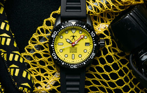 Hawaiian Lifeguard Association 