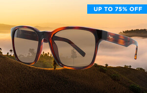 Ferragamo Sunglasses