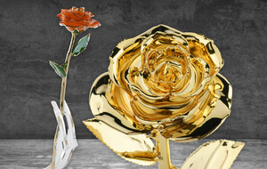 Rosephoria 24K Gold Dipped Roses