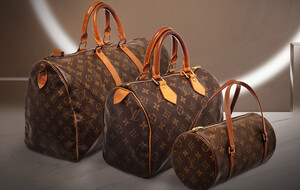 Louis Vuitton // Canvas Leather Speedy Satchel Bag - Pre-owned Luxe Bags -  Touch of Modern