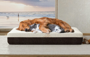 Ergopedic Sleep Pet Beds