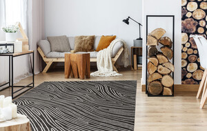 Modern Rugs