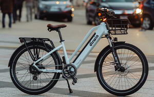 Dirwin Fat Tire E-Bikes