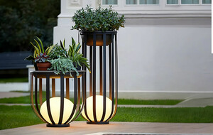Solar-Powered Accent Lighting