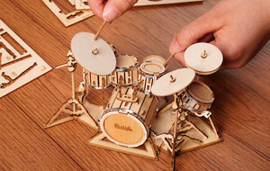 3D Wooden Puzzles