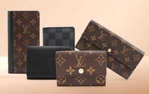 Louis Vuitton Wallets