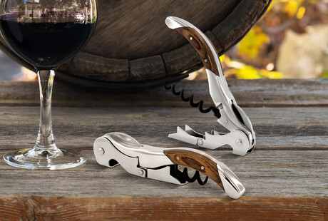 Elegance Meets Innovation