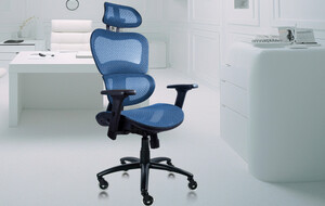 Nouhaus Ergo Office Chairs