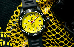 Hawaiian Lifeguard Association