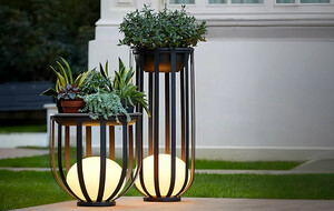 Solar-Powered Accent Lighting