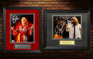 Framed & Signed By WWE Superstars 