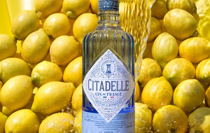 Gins From Scotland, France, & Japan