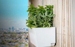 Glowpear Self Watering Planters