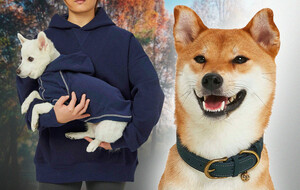 Blueberry Pet Essential Gear