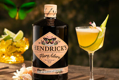 Gin's Artistry Unleashed