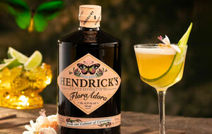 Hendrick's Gins