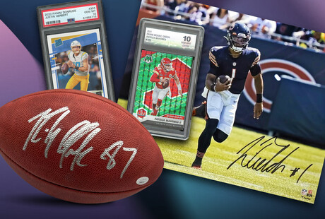 NFL MEMORABILIA - Signed By Pros Of The Pigskin - Touch of Modern