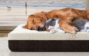 Ergopedic Sleep CannaBliss Pet Beds
