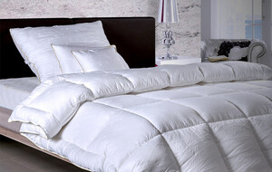 Enchante Home Pillows & Comforters