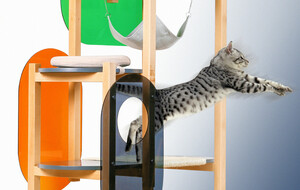 Pidan Cat Furniture