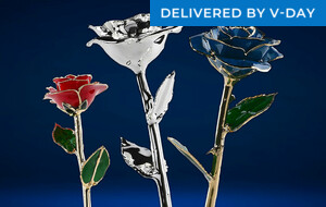 Rosephoria Everlasting 24K Gold Rose