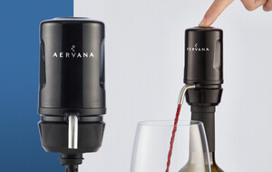 Aervana Travel Aerator 