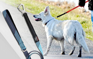 Petkit Dog Walking Accessories