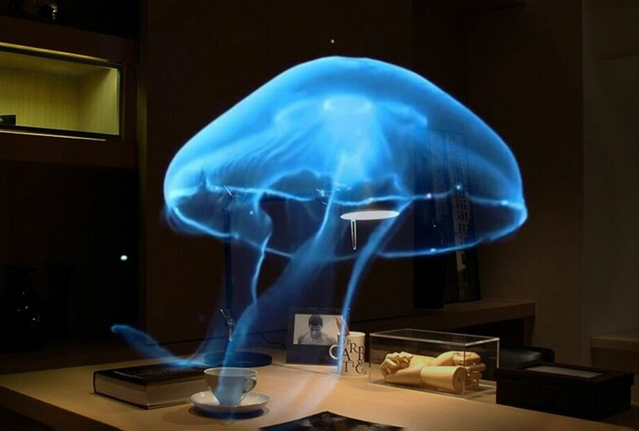 Touch of Modern | Modern Products & Styles