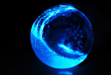 Bioluminescent Micro-aquariums