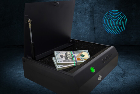 Biometric Fingerprint Locks & Safes