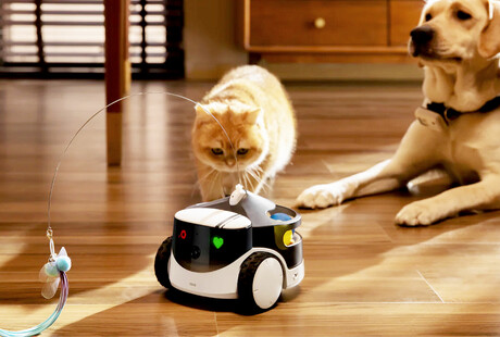 Your Pet’s Robotic Friend