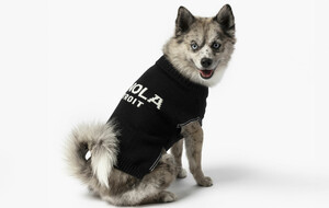 Shinola Pet Coats & Sweaters