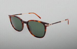 Ferragamo Designer Sunglasses