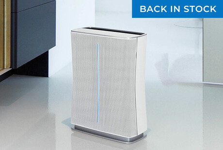 Air Purifiers & More