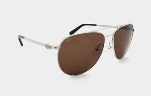 Ferragamo Designer Sunglasses