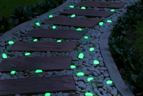 Your Garden Path Glow-up